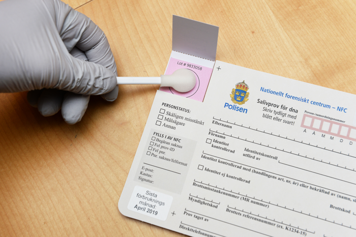 En hand med plasthandske på trycker av dna-prov från en tops på ett dna-provpapper. Foto.