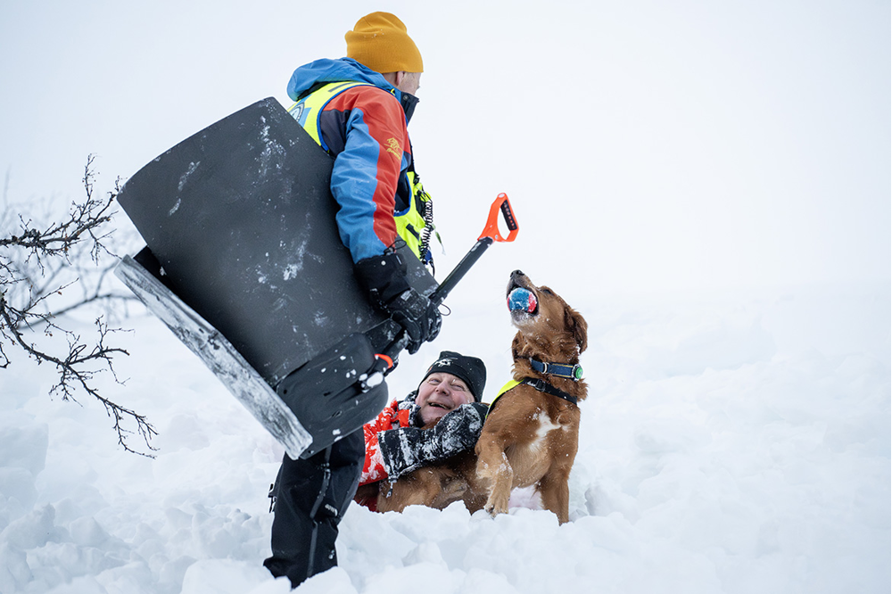 En sökhund står i snön med en boll i munnen. Foto.