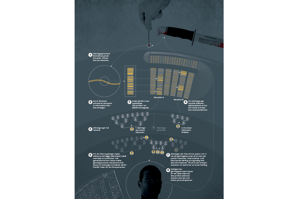 En steg-för-steg-beskrivning hur man ringar in gärningspersonen. Illustration.