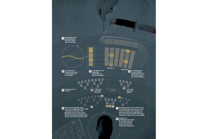 En steg-för-steg-beskrivning hur man ringar in gärningspersonen. Illustration.