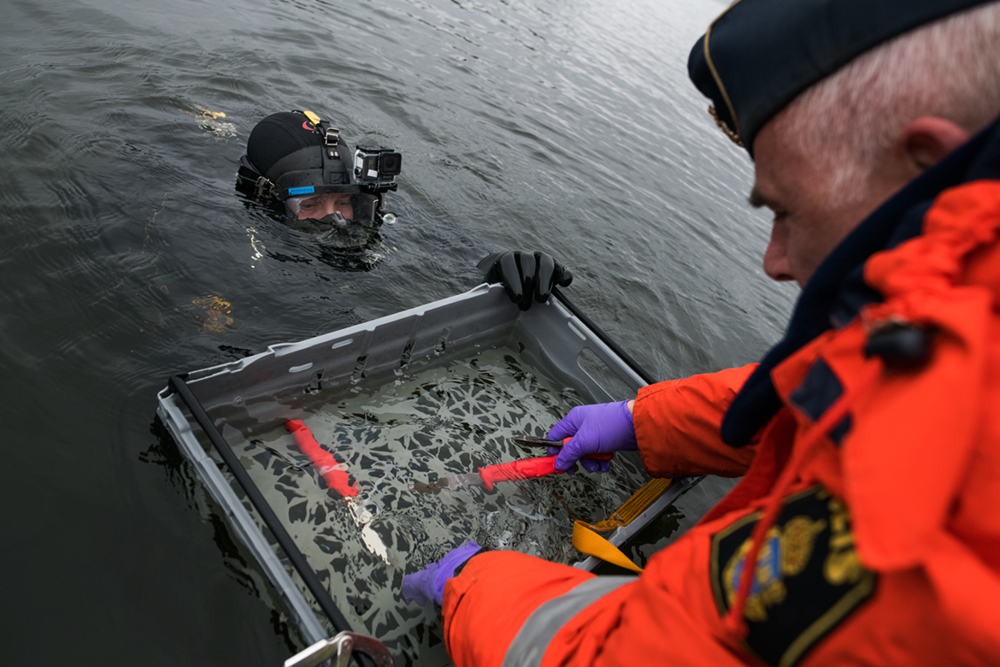 Dykare från sjöpolisen plockar upp knivar för forskning.