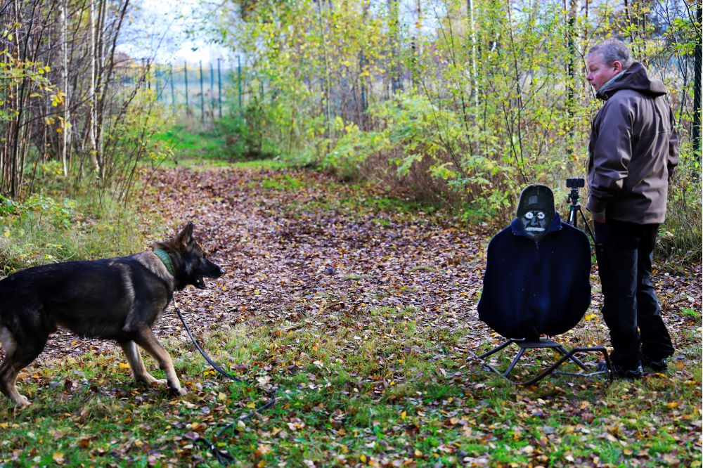 Schäfern Fritz får se en svartklädd pappfigur dyka upp på testbanan i skogen. Foto.