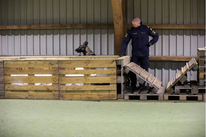 Schäfern Fritz och besiktningsmannen Jacob Hydén vid testbanan inomhus. Foto.