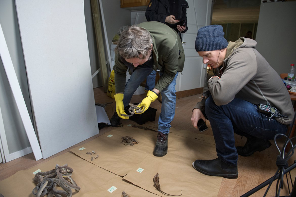 Arskyddsrazzia10_bsk