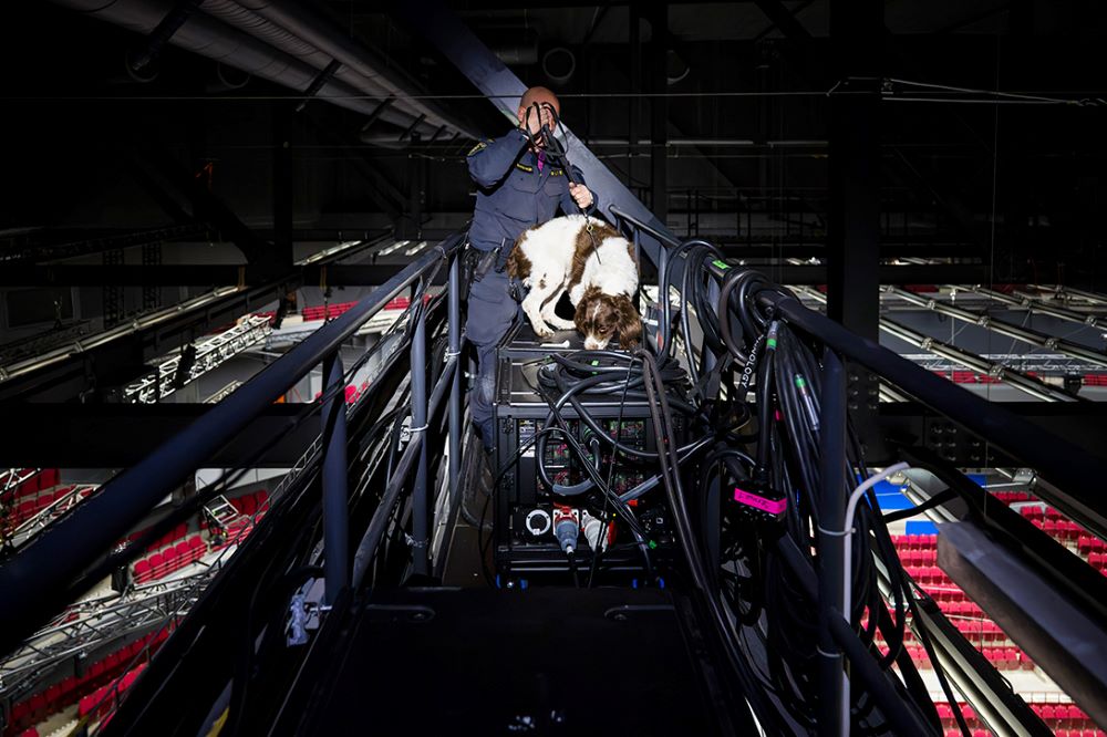 Springerspanieln Nelson söker igenom elektronik på en ramp uppe vid taket. Foto.