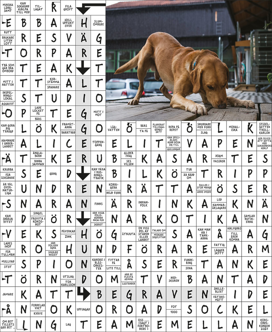 Facit till korsord nummer 1 2021
