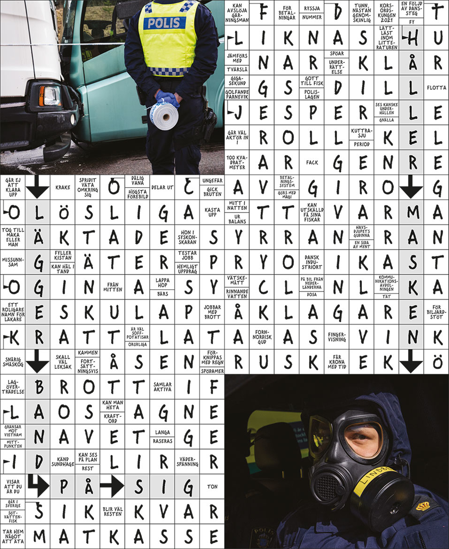 Facit till korsord nummer 2 2021