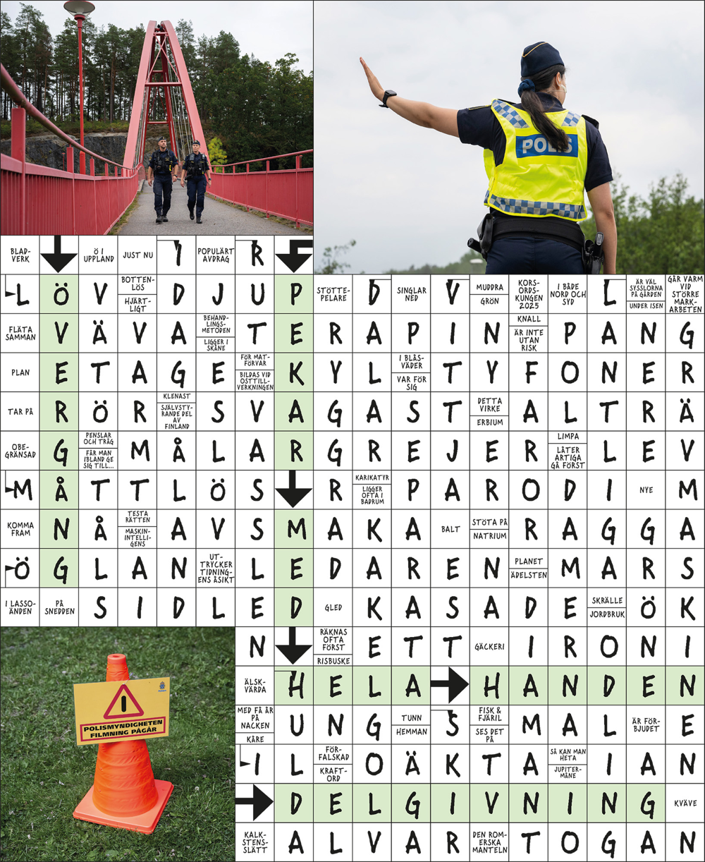Facit korsord Svensk Polis nummer 2 2025.