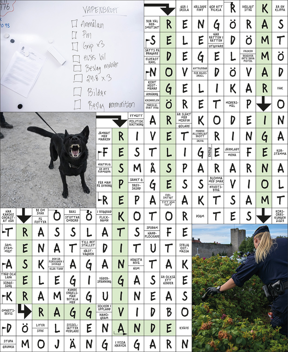 Facit korsord nummer 3 2025