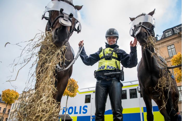 En polisryttare står mellan två polishästar. Foto.