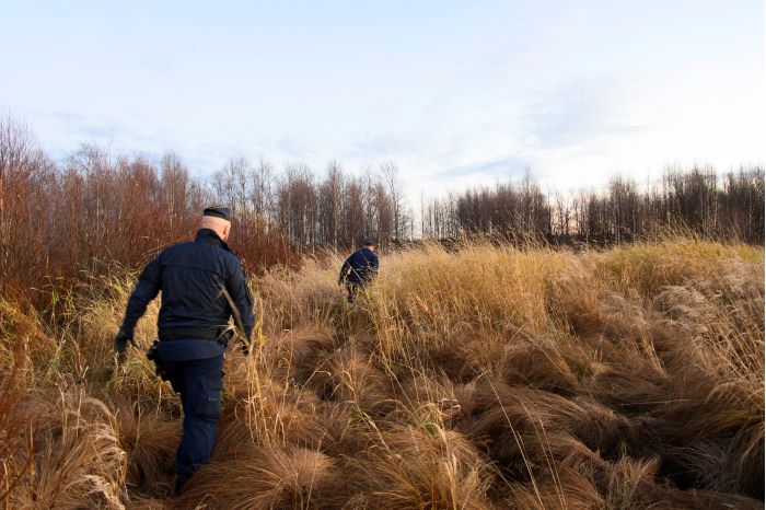 Två poliser går genom ett träsk med högt brunt gräs. Foto.