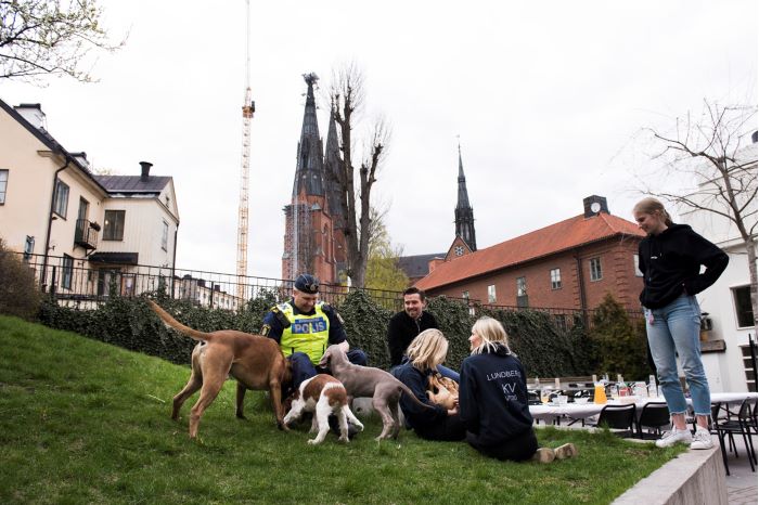 Polis med hundar