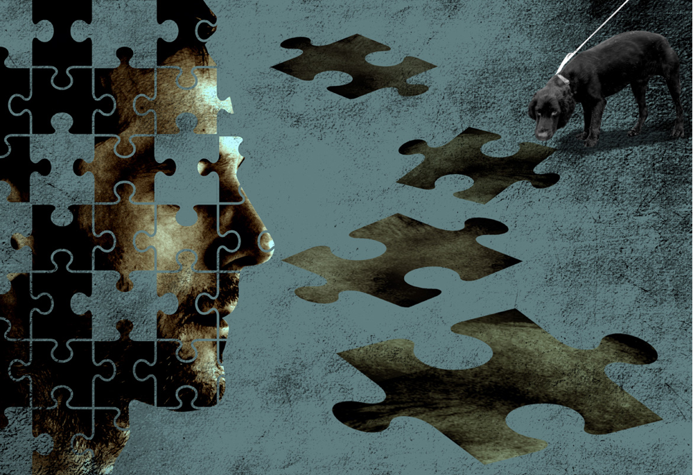 Illustration som visar ett pussel med en mans ansikte, där några bitar  ligger på marken där en hund spårar.