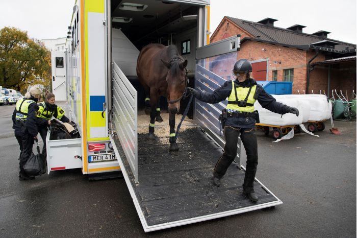 En polisryttare leder ut sin häst från hästtransporten. Foto.