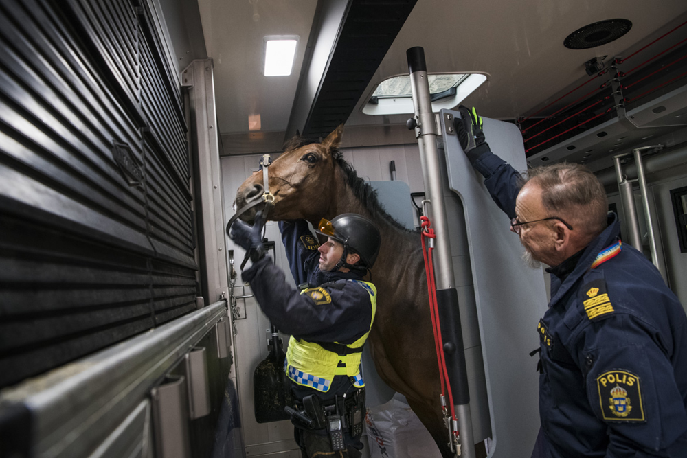 En polisryttare sätter på betslet på sin häst medan kommissarie Anders ”Jasse” Jansson står och tittar på. Foto.